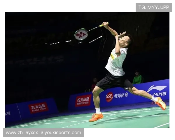 羽毛球合法击球